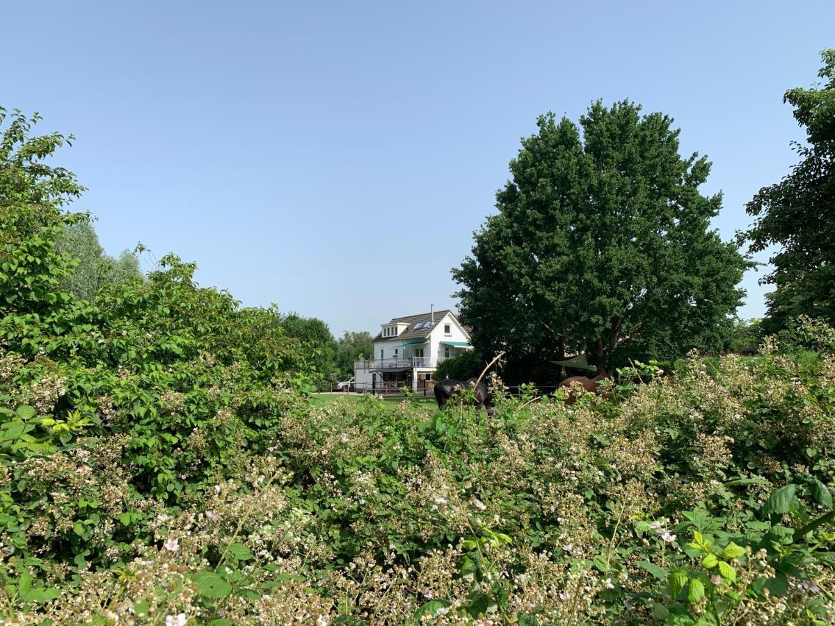 Luxury Guest House - Eik Aan De Dijk Aalst Экстерьер фото